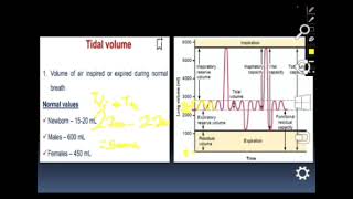 Respiratory Physiology  Spirometry Part 2 [upl. by Kanya405]