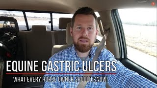 EQUINE STOMACH ULCERS  What every owner needs to know [upl. by Yborian759]