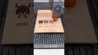 Laser cutting and engraving  Toona sinensis Test [upl. by Lavine]