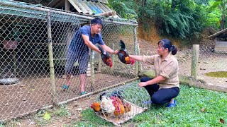 DAU amp TU first caught chickens to sell in the commune Install irrigation system Forest Life [upl. by Kenyon]