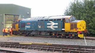 37403 at Bounds Green Part 2 [upl. by Eng]