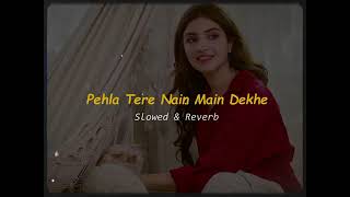 Pehla tere nain main dekhe Tere Bina Na Guzara Ae slowed amp reverb Instagram Hindi trending song [upl. by Antoni589]