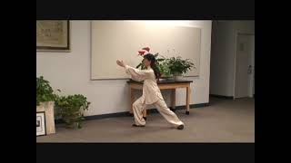 Grandmaster Aiping Cheng  Yang Style Tai Chi 108 Form [upl. by Etterual]