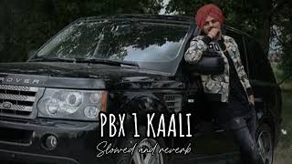 PBX KAALI  SLOWED AND REVERB  SIDHU MOOSE WALA  SUPREME BHAI [upl. by Lehcsreh]