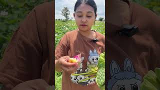 Eating lotus flower food epiceating savoreverybite starfruit mukbang epiceats [upl. by Ainecey77]