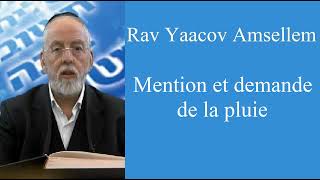 Rav Yaacov Amsellem  Mention et demande de la pluie [upl. by Akirdnuhs]