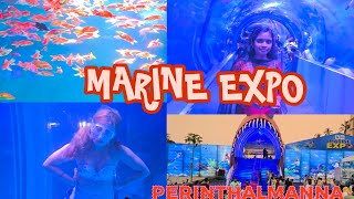 Perinthalmanna Marine Expo 2024🧜‍♀️🧞‍♀️🐟🐠🦭 [upl. by Ayotahs619]