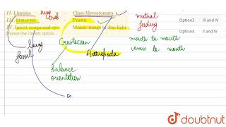 Which of the following are correctly matched  I quotTrophallaxisquot   quotInsect colonyquot [upl. by Lisan263]