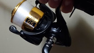 Diawa GS 4000 LTD GS Carp Reel [upl. by Rania]