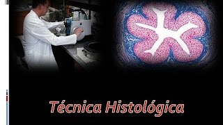 Técnica histológicaHistología [upl. by Nagorb]