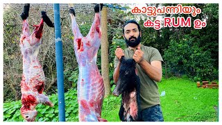 പട്ടി പിടിച്ച കാട്ടുപന്നി ഉലർത്തിയപ്പോൾWILD BOAR COOKINGPORK ROASTBEST COOKINGBEST RECIPE [upl. by Brentt852]