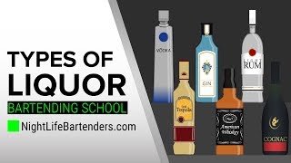 Types of Liquor  Bartending School [upl. by Wolcott576]