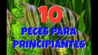 10 PECES PARA PRINCIPIANTES HD [upl. by Gerdeen]