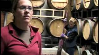 Winery  Wine  Making Wine in Colorado [upl. by Hammel]