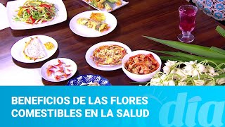 Beneficios de las flores comestibles en la salud [upl. by Warfield8]