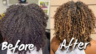 Honey Blonde Hair Using NO BLEACH  IS IT POSSIBLE [upl. by Publius]