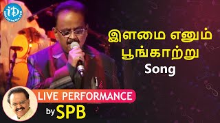 Ilamai Ennum Poongaatru LIVE Performance by SPB  Maestro Ilayaraaja  இளமை எனும் பூங்காற்று [upl. by Semmes]