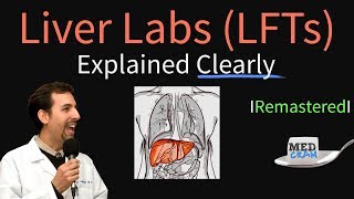 Liver Function Test Interpretation LFTs  Liver Enzymes Remastered Bilirubin GGT Alk Phos [upl. by Fanchan]