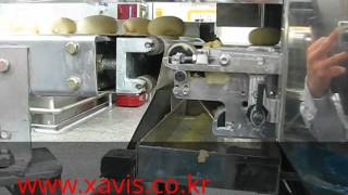 XAVIS XRAY FOOD INSPECTION BULK BATTER FSCAN4280DAC [upl. by Sparrow]