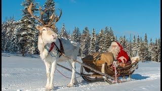 Départ du Père Noël avec renne de la Laponie🦌🎅 message du Petit Papa Noël en Finlande Santa Claus [upl. by Nylsaj]