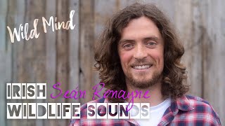 Seán Ronayne  Irish Wildlife Sounds  Talk [upl. by Anicul]