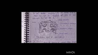 Comparative aacount of organs of olfactory and taste MSc zoology 3rd sem  Hindi notes [upl. by Ahseenak]