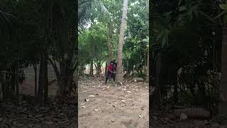 Sabariraja tree cutter pattukkottai 8072635013 service [upl. by Schreib]