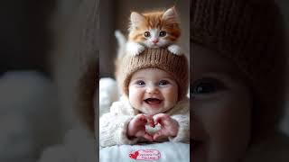 cattitude cuteanimal cute cutebaby cutecat catlover persaincat love love [upl. by Mcgrody]