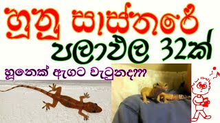 හූනු සාස්තරේ  පලාඵල 32ක්  හූනූ සාස්තරේ අහලා තිබ්බට හරියටම දන් නෑ නේද Gecko interpretation [upl. by Doownel856]