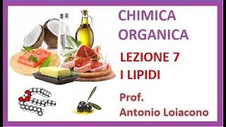 CHIMICA ORGANICA  Lezione 7  I Lipidi [upl. by Atarman]