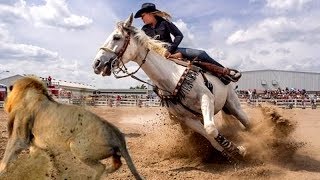 7 Raças De Cavalos Mais Selvagens Do Mundo [upl. by Kizzie530]