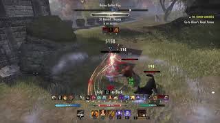 ESO PVP  STAM SORC 1vX  MURKMIRE [upl. by Auqemahs419]