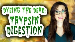 Dyeing The Dead  S2 EP18 Trypsin Digestion BIRD [upl. by Dacie]