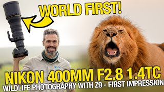 NEW Nikon 400mm F28 with 14TC  field review wildlife photography with the Nikon Z9 How is it [upl. by Nibuz]