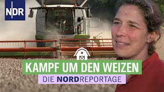 Franziska muss den Weizen retten  Trecker Typen Erntezeit 4  Die Nordreportage  NDR [upl. by Trent]