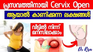 Cervix Open Symptoms Malayalam  Last Month Of Pregnancy Symptoms [upl. by Anuahc888]