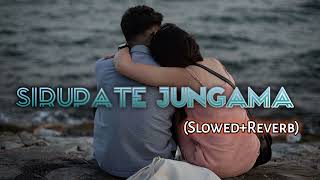 Sirupate Jungama Chhakka panjabi 4 Song Slowed Reverb2079 [upl. by Elam278]