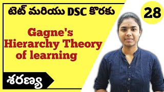 Gagnes Hierarchy Theory of Learning explained in telugu  CDP  Ctet Telugu  Ctet 2021 [upl. by Llywellyn]