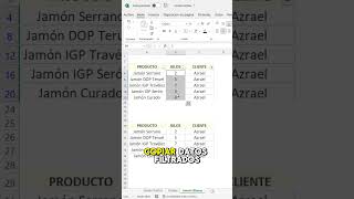 Pegar solo las celdas visibles excel celdasfiltradas shorts [upl. by Onirefes]