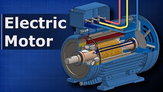 How Electric Motors Work  3 phase AC induction motors ac motor [upl. by Shrier]