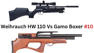 Weihrauch Hw110 Vs Gamo Boxer [upl. by Leamsi]