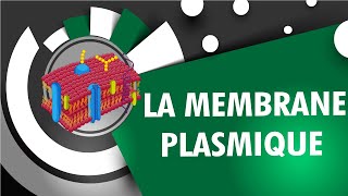 La membrane plasmique et ses transporteurs  INSEN Academy [upl. by Eldredge]