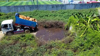 Completed project by Dozer D20 20 amp 5T Truck pushing stone into water [upl. by Ytissahc]