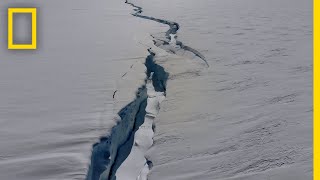 Crack Splitting an Antarctic Ice Shelf In Two  National Geographic [upl. by Peyton]