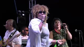 Tanya Stephens at Everton Blender 70th Birthday Celebration [upl. by Kelsi662]