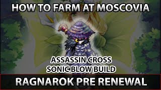 How to Farm at Moscovia with Assassin Cross Sonic Blow Ragnarok Pre Renewal [upl. by Olatha]