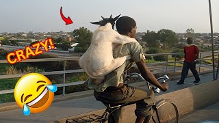 CRAZY Shocking and Funny Moments You’ll Only See in Africa 😂 Viral MustWatch Part 5 [upl. by Shorter]