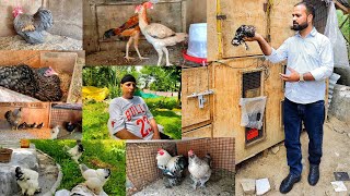 Kashmiri Man Rearing Birds On a Land worth 17 Crores 😱 [upl. by Aicekal]