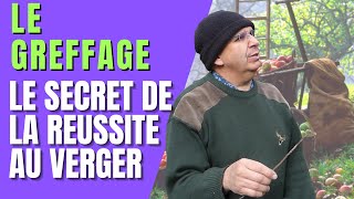 COMMENT GREFFER UN ARBRE FRUITIER  LE SECRET DE LA REUSSITE AU VERGER [upl. by Yspyg]