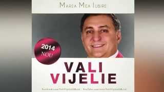 VALI VIJELIE  E bine bine hit 2014 [upl. by Alleon229]